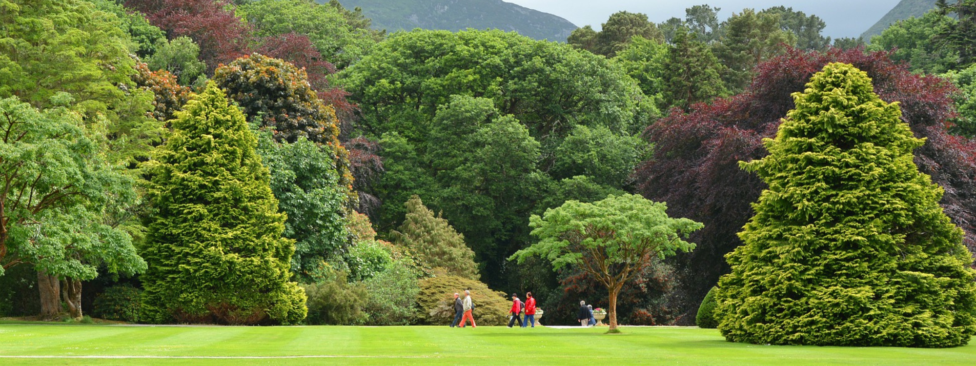 Open Space*A place for families to have fun and explore faith together outdoors*Open Space