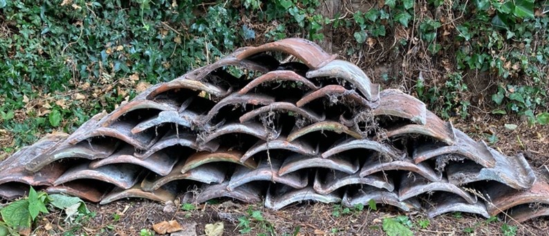 Bug Hotel