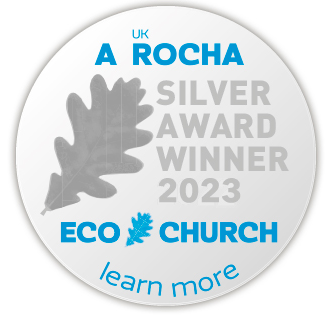 Eco Silver Badge